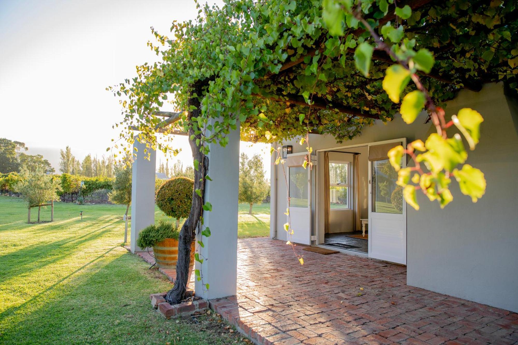 Saronsberg Vineyard Cottages Tulbagh Bagian luar foto