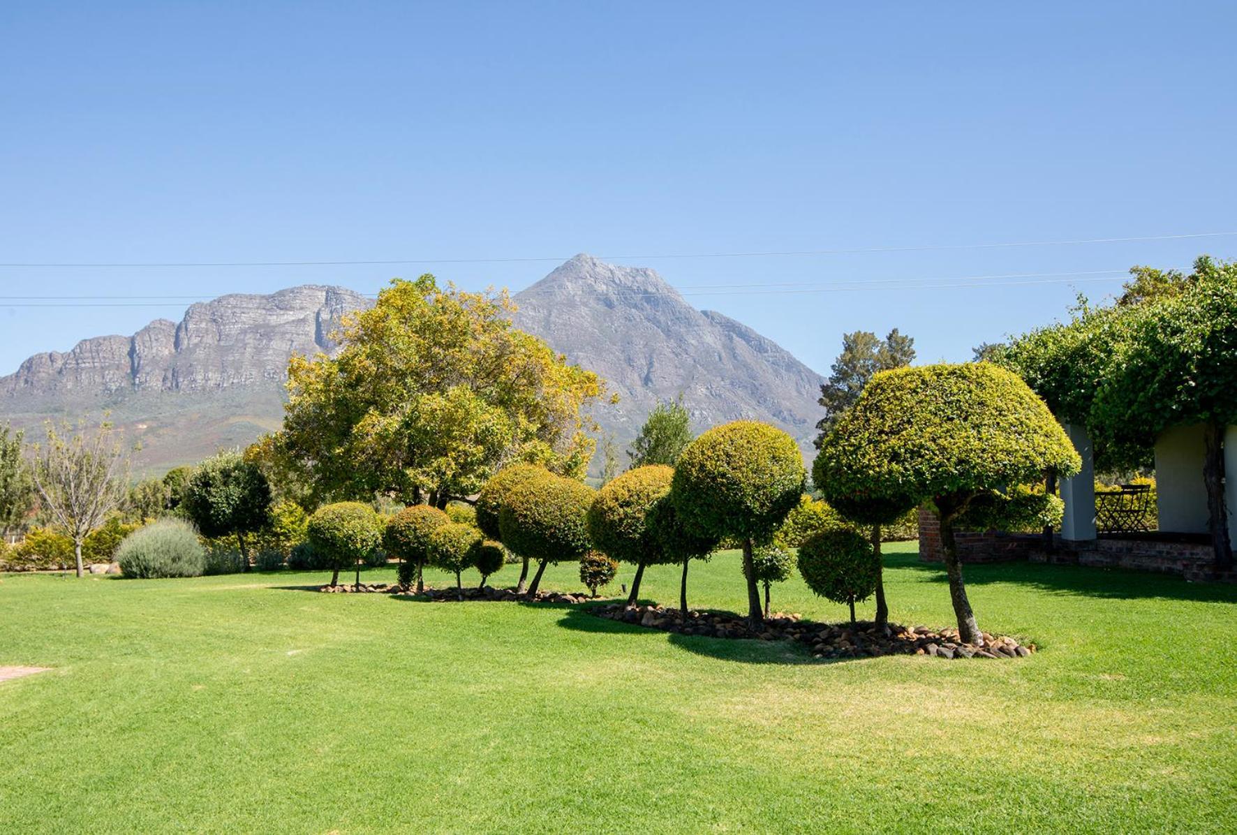 Saronsberg Vineyard Cottages Tulbagh Bagian luar foto