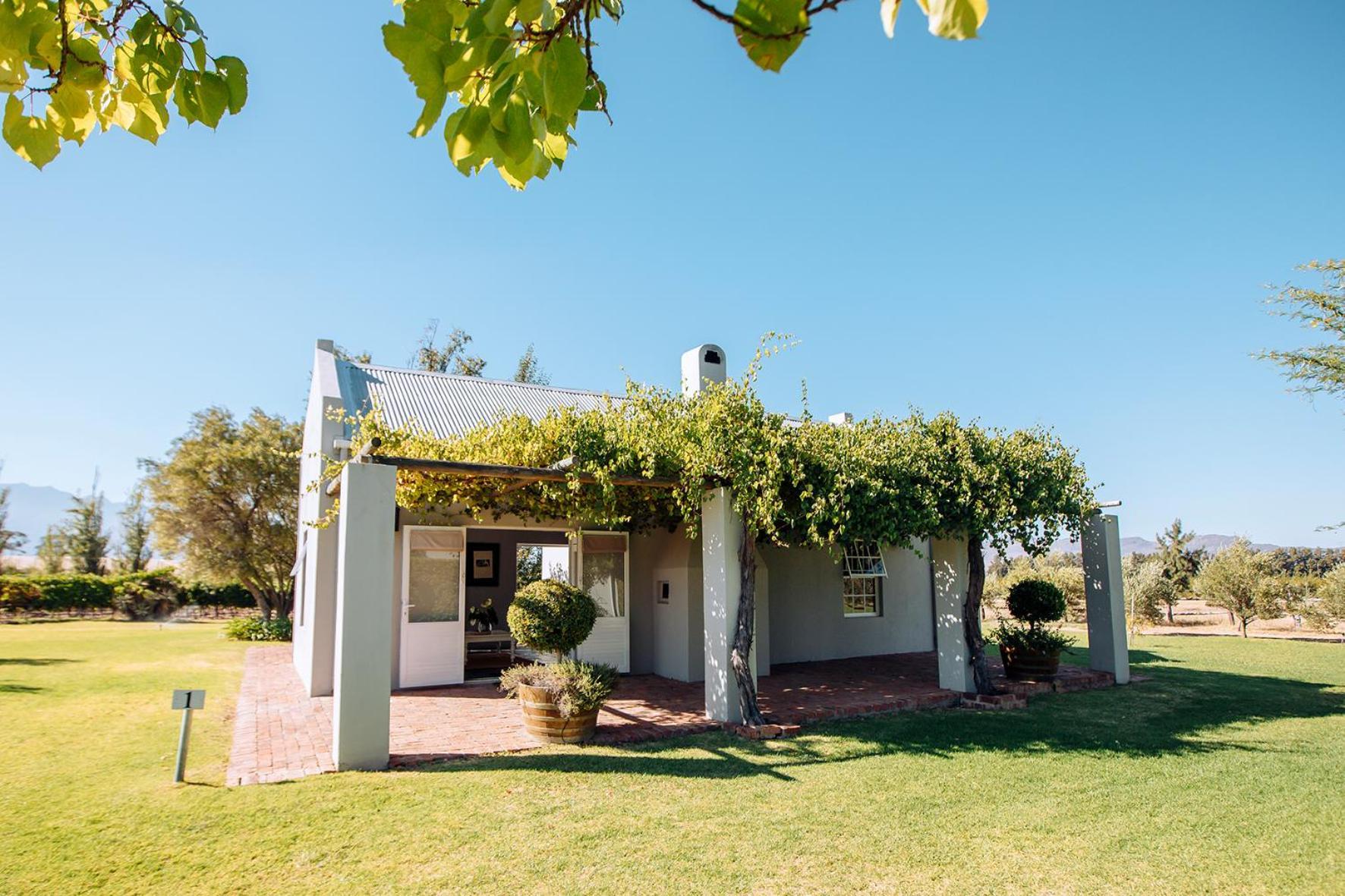Saronsberg Vineyard Cottages Tulbagh Bagian luar foto