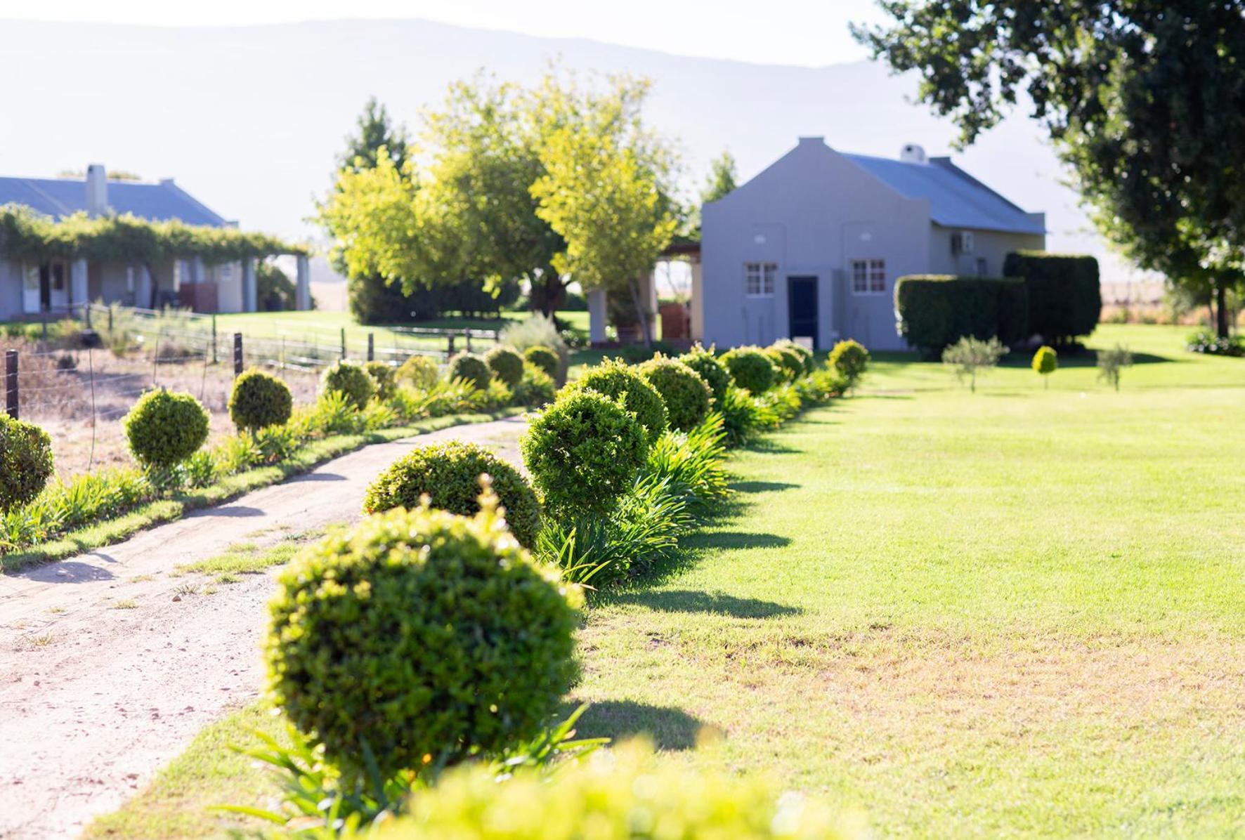 Saronsberg Vineyard Cottages Tulbagh Bagian luar foto
