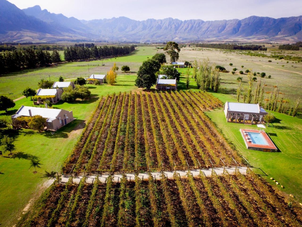 Saronsberg Vineyard Cottages Tulbagh Bagian luar foto